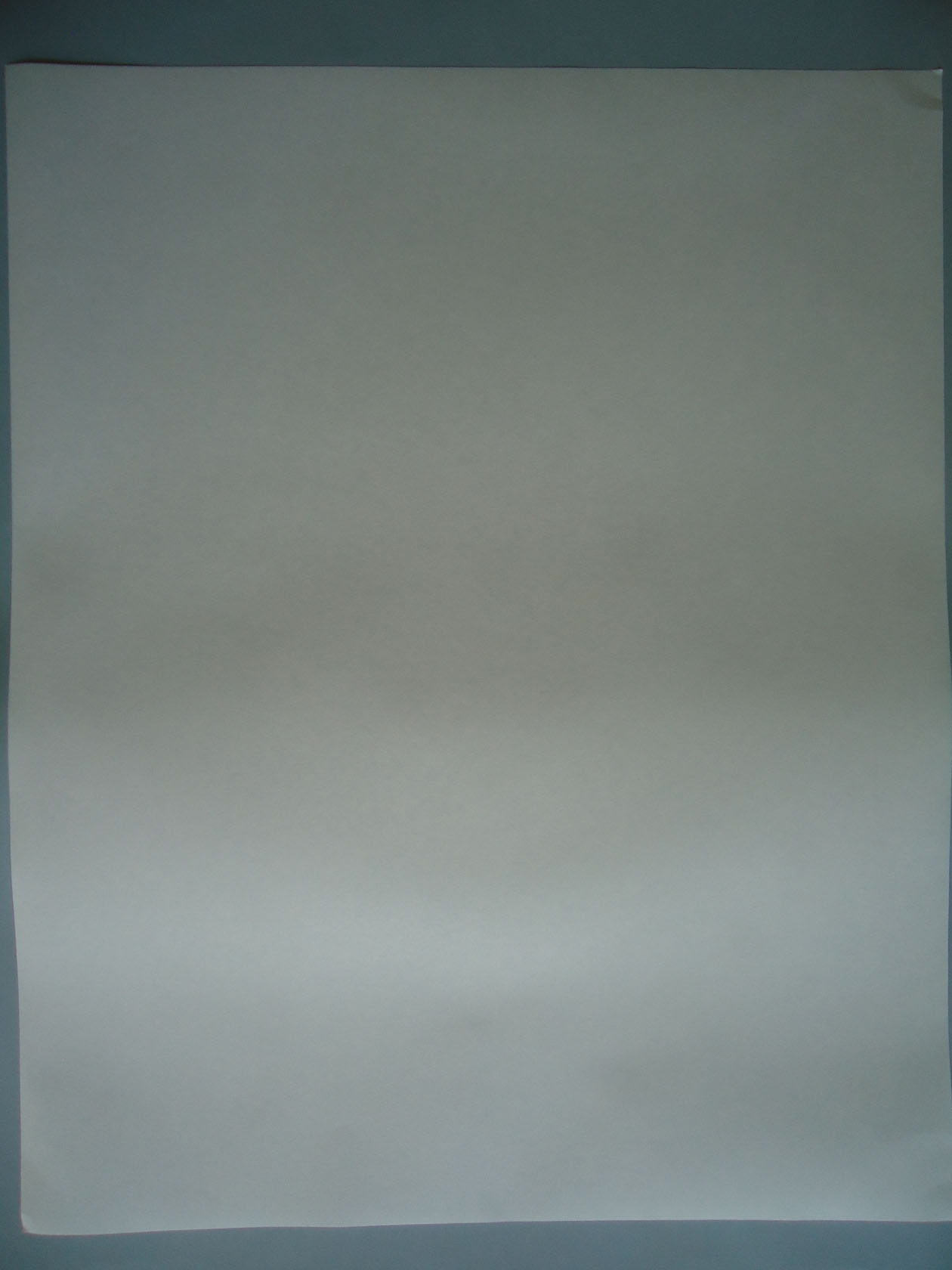 Papel cromatografía 46x57 cms. (1 uni.)